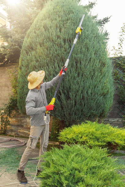 Best Lawn Watering Services  in Agler Estates, FL